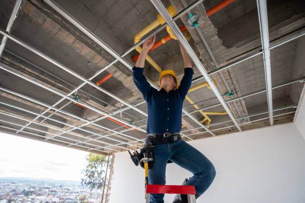 Best Clogged Drain Plumber  in Kendale Lakes, FL