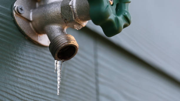 Best Plumbing Services Near Me  in Kendale Lakes, FL